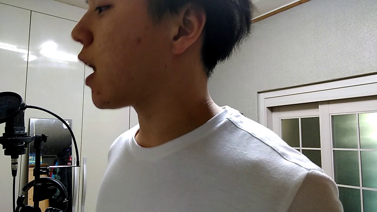 평화의 날