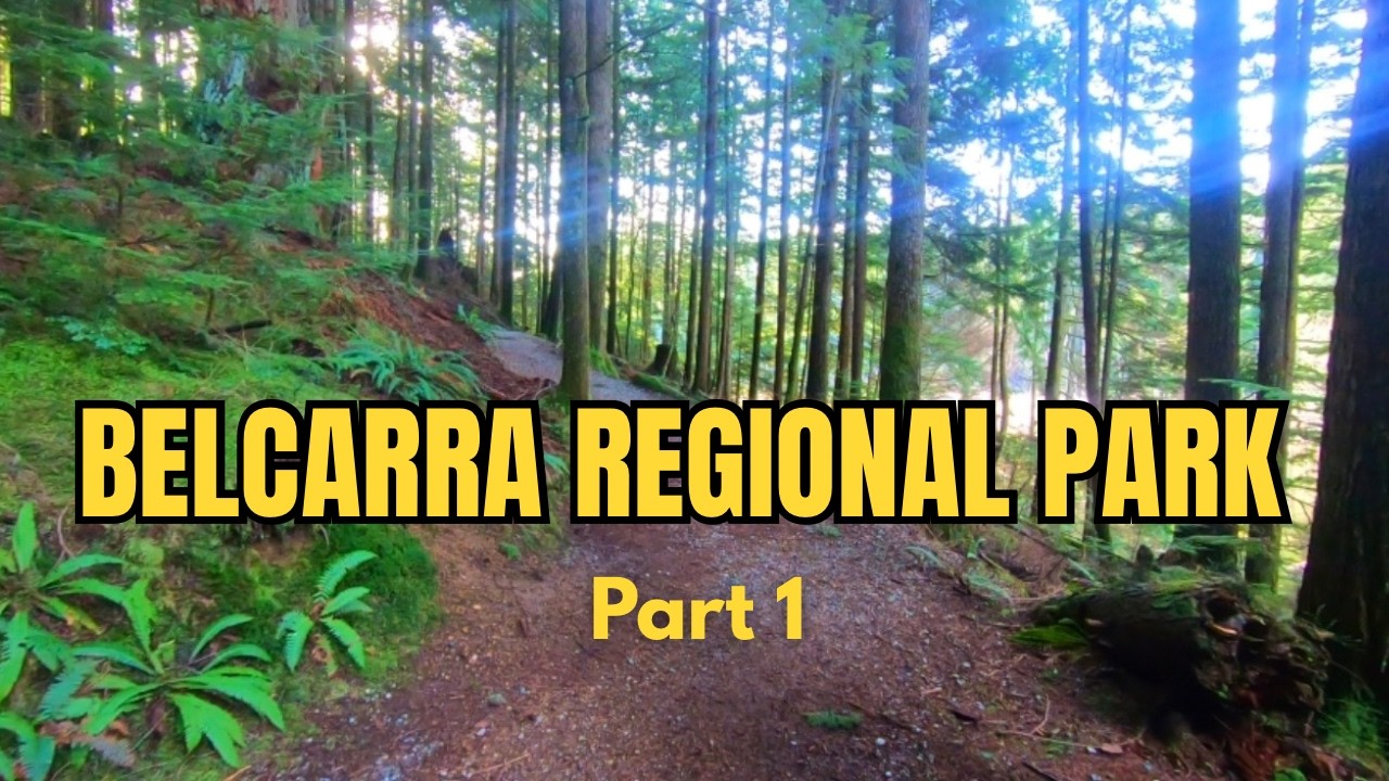 A Beautiful Forest Walk in Belcarra Regional Park, BC