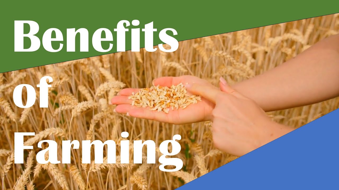 What are the Benefits of Farming? From food to Health and the environment!