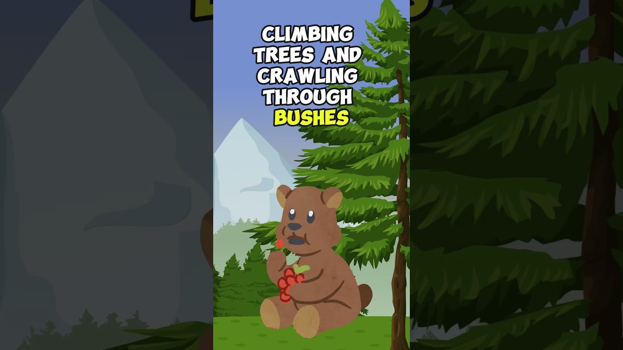 Berry the Bear 🧸📖  