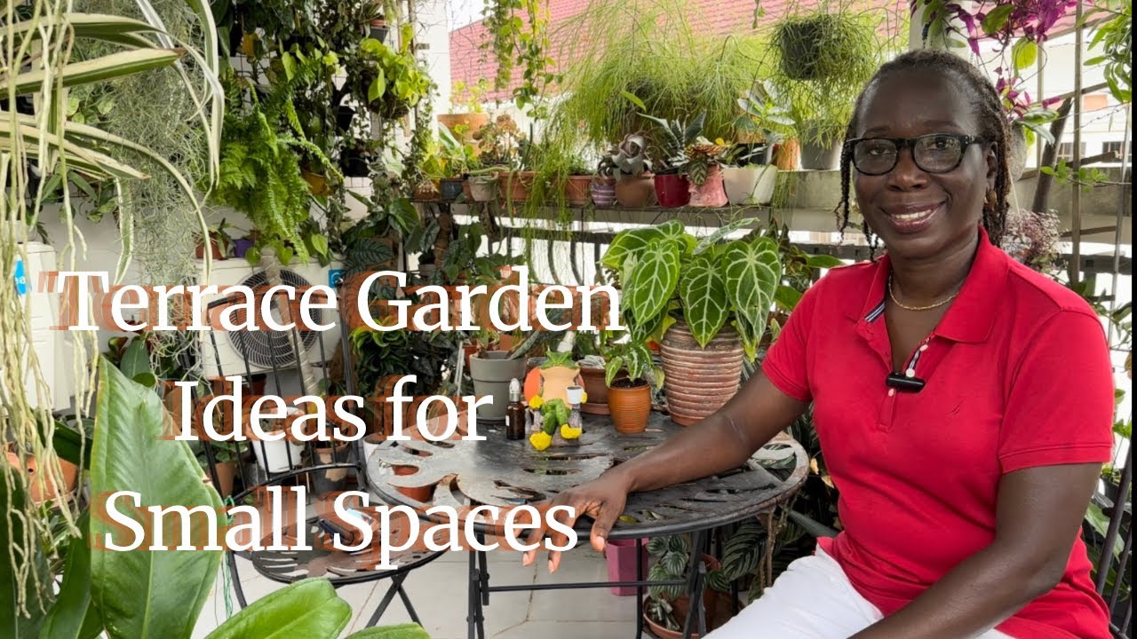 Get Plant Styling Ideas for Small Spaces from This Exquisite Terrace Garden Tour