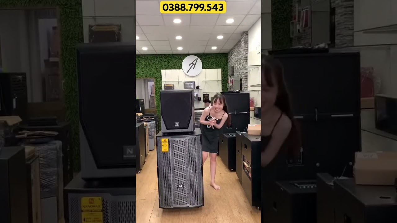 Loa SUB 3 tấc NANOMAX P-170 hỗ trợ tăng &acirc;m trầm cho loa k&eacute;o, d&agrave;n karaoke gia đ&igrave;nh #shorts #loakeo