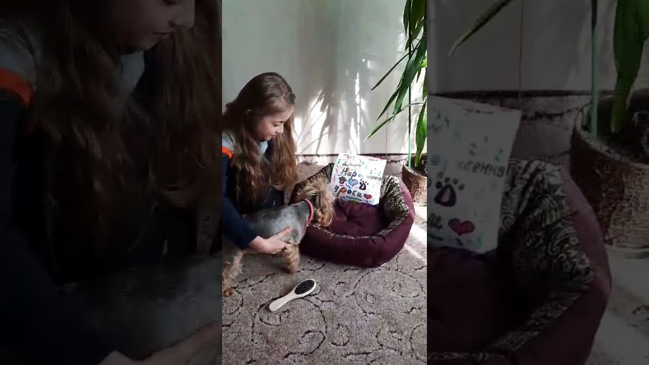 День Народження Кайчика🐶❤😄🎉