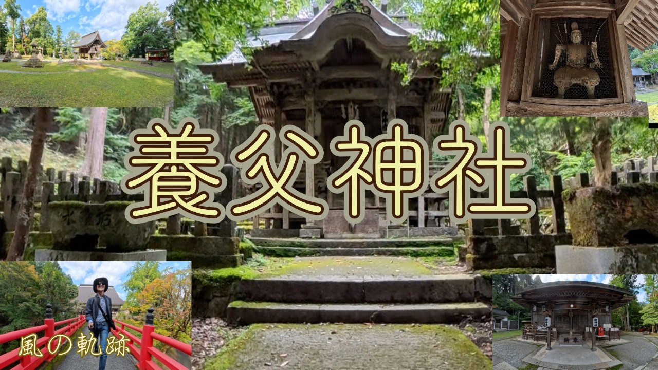 [紅葉の名所として有名]　兵庫県養父市　養父神社