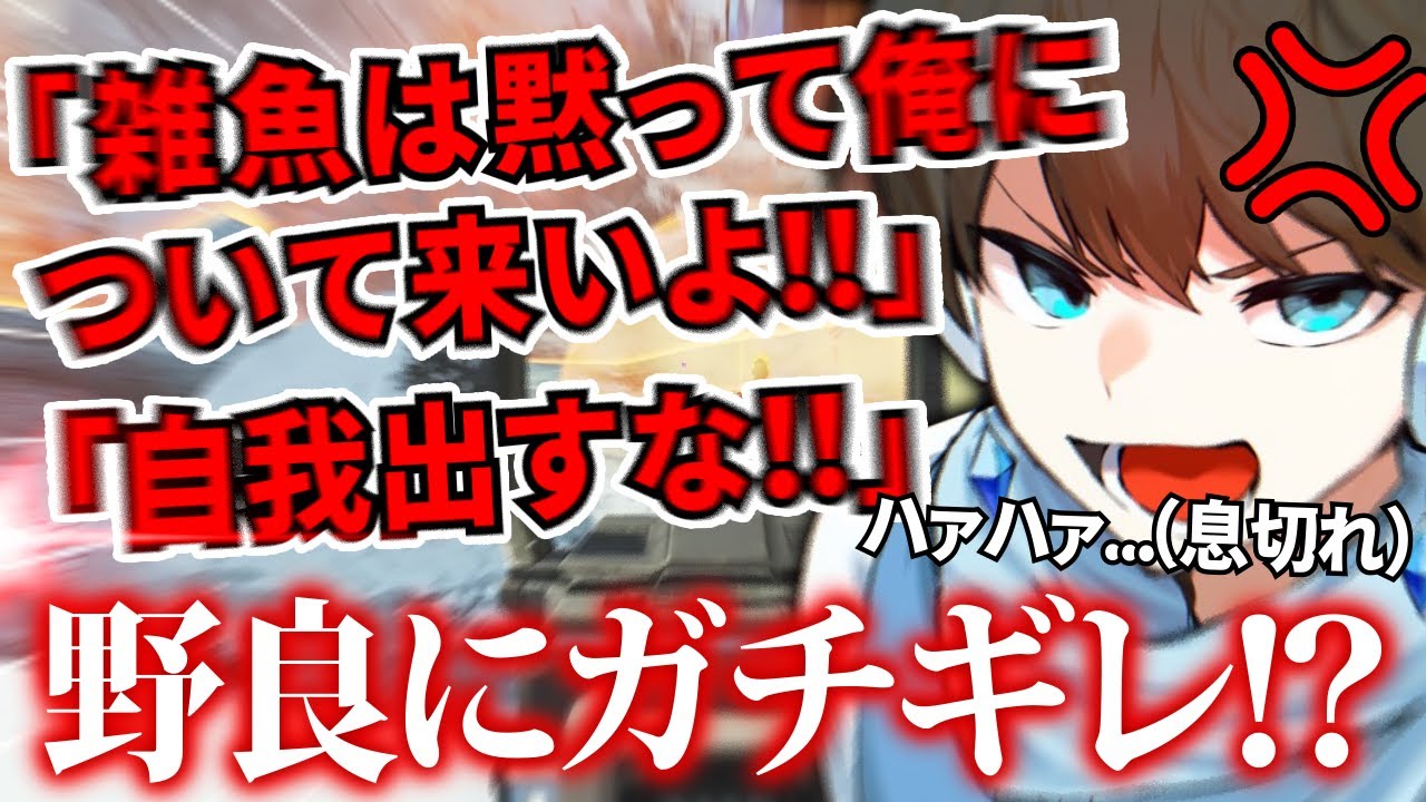 【大炎上】ブロンズ帯の野良に息切れするまで