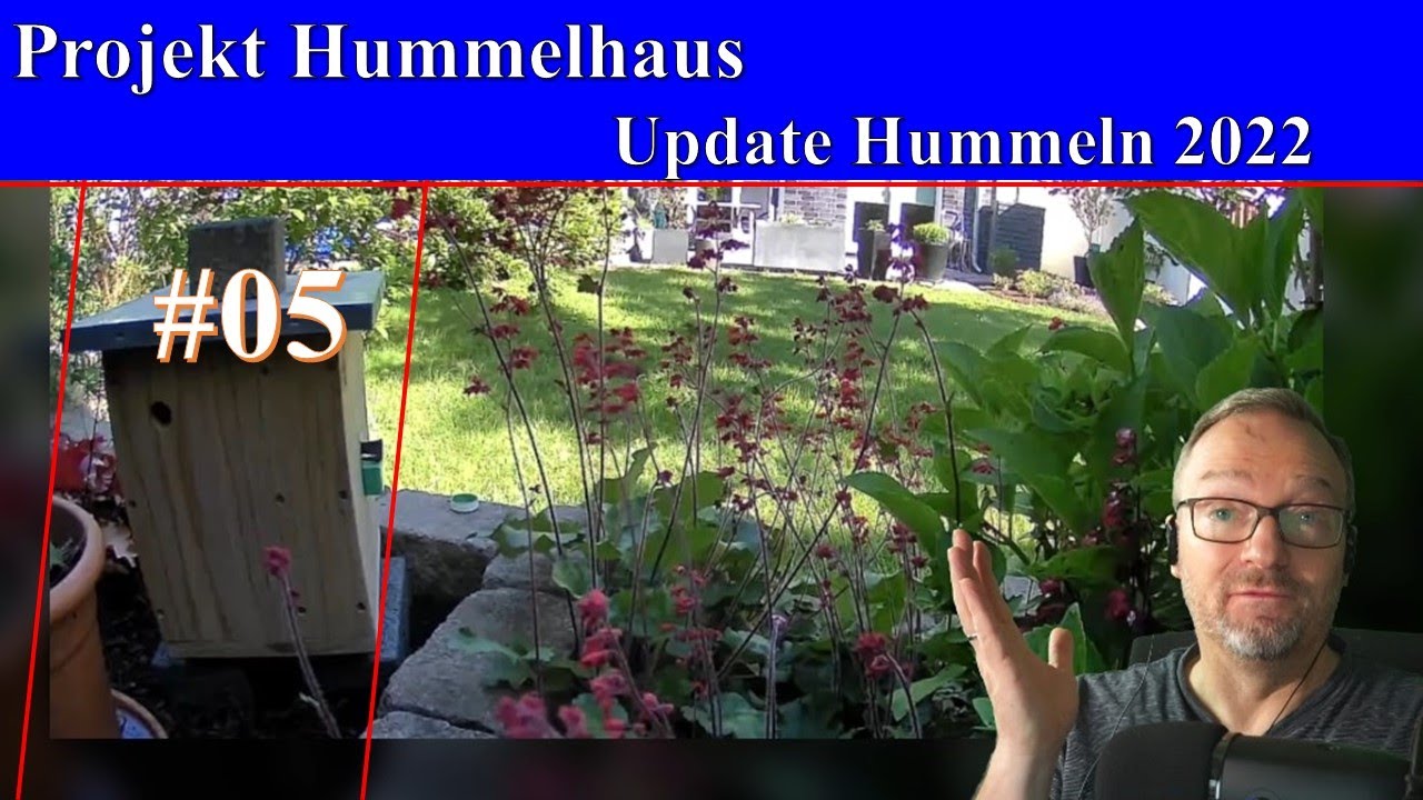 #05 - Projekt Hummelhaus - Hummel Update 2022