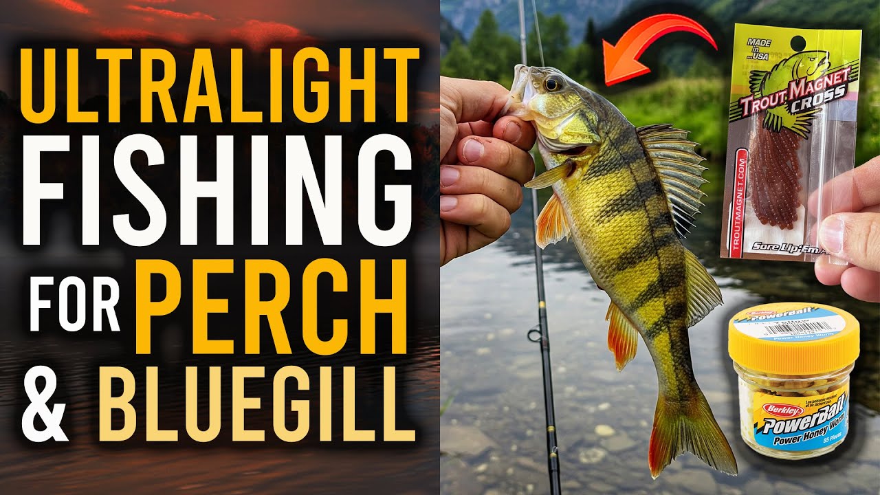 ULTRALIGHT FISHING for PANFISH (PERCH, BLUEGILL, AND MORE!)