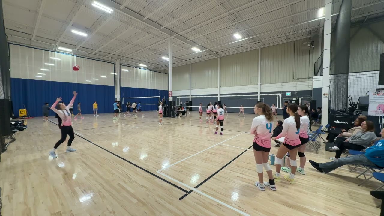 U15 Sea Dragons Pink