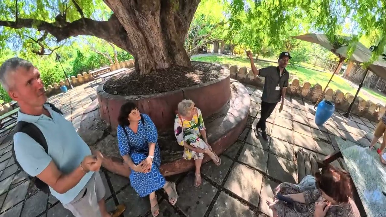 Prison Island Zanzibar