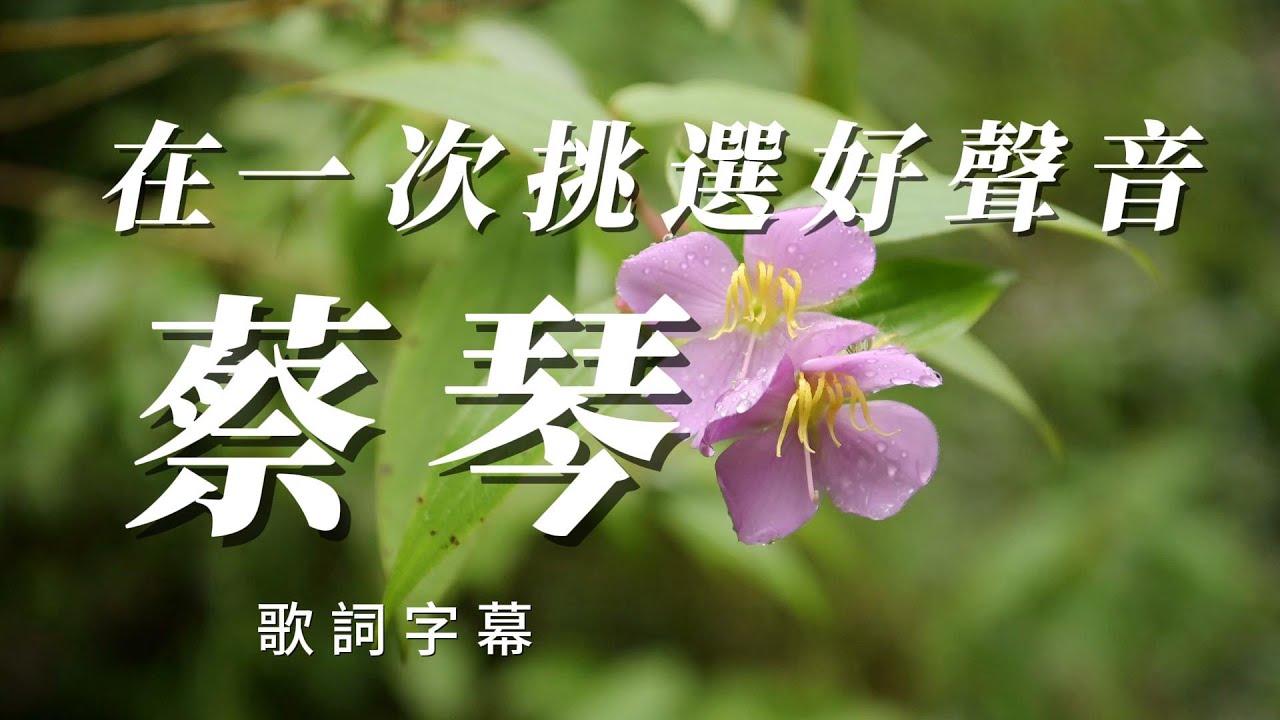 細挑好聲音（蔡琴）👍🏻用心分享高音質￼