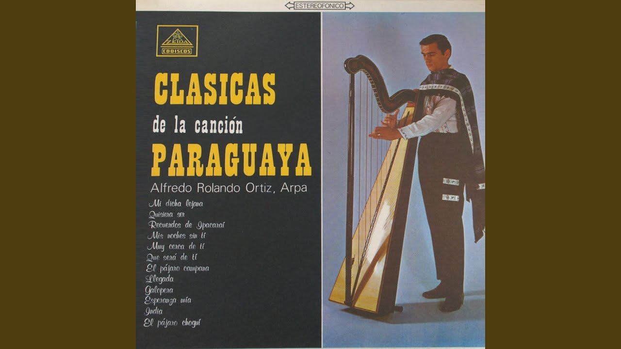 Pájaro Chogui