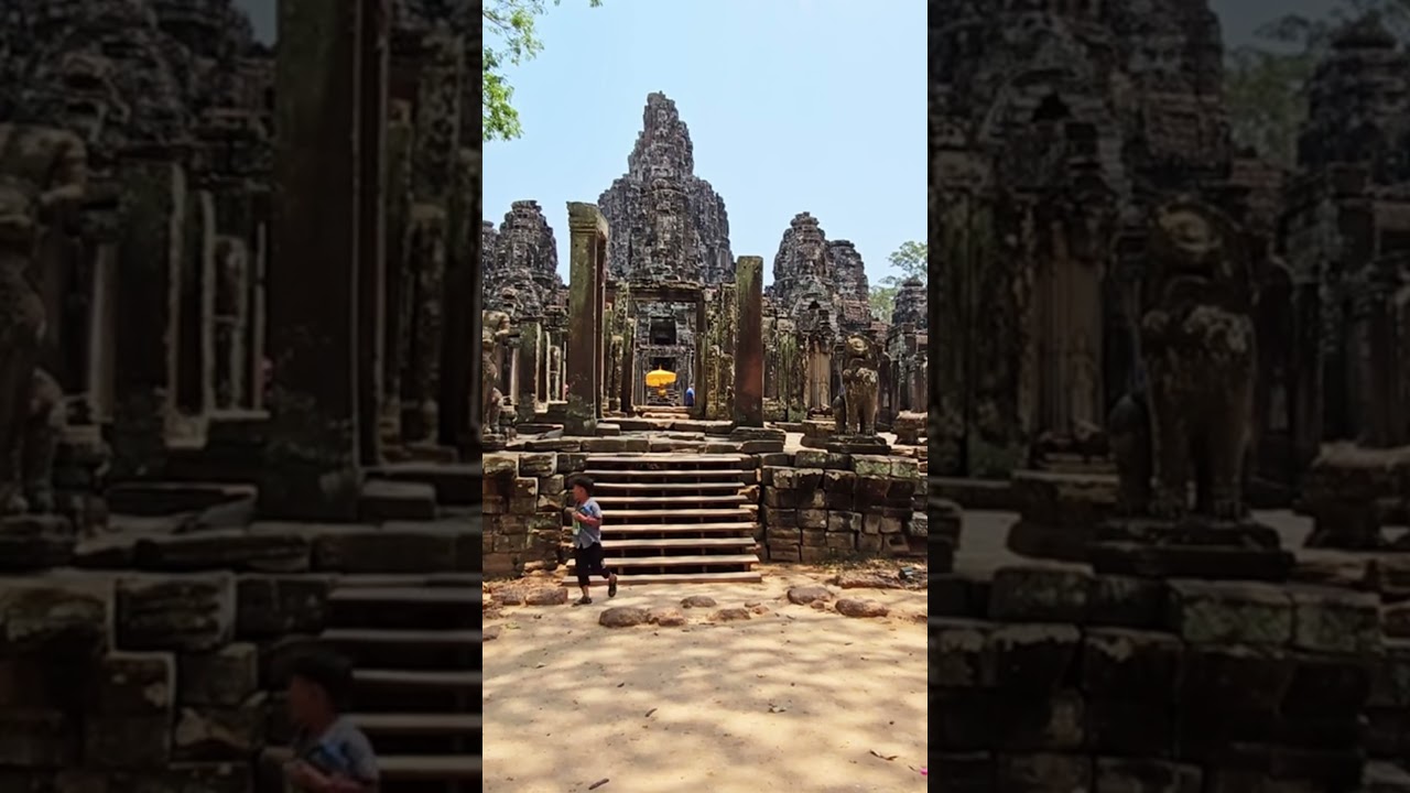 Cambodia Bird Tours #birdsofchina #sittingonthedockofthebay #birds #wildlife
