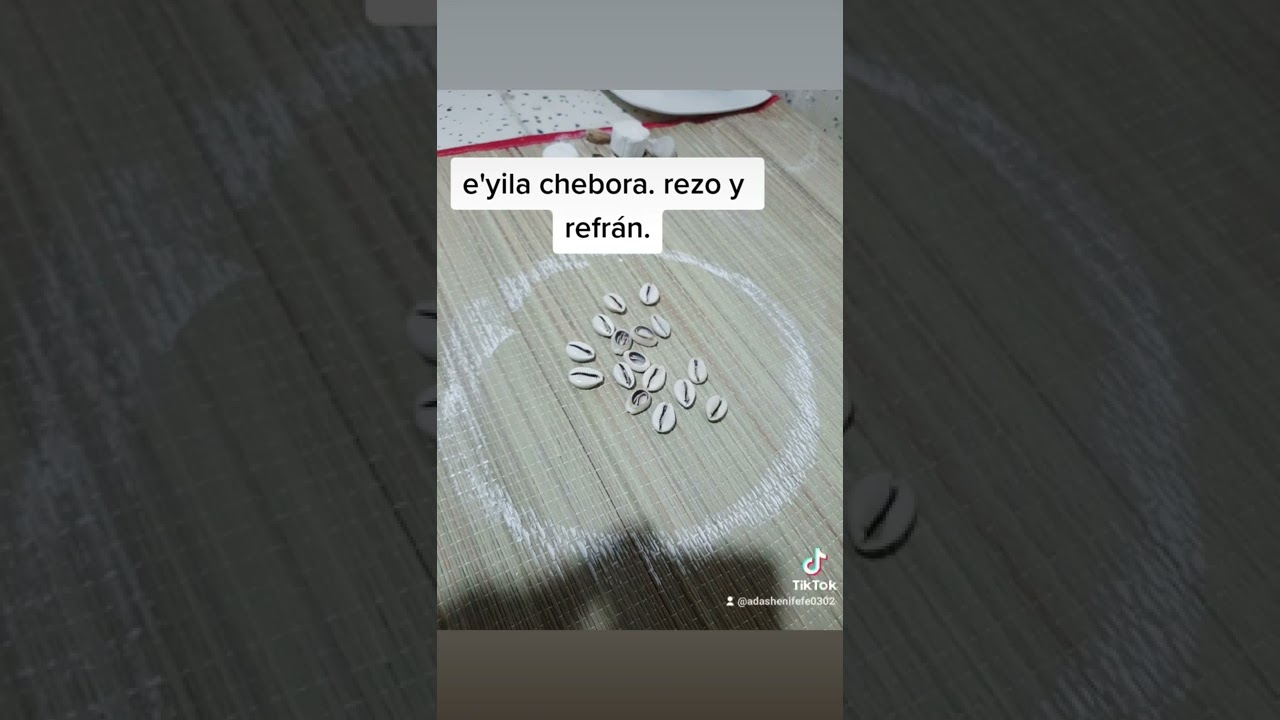 12 meyila