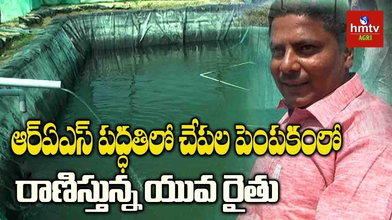 ఆర్‌ఏఎస్ పద్ధతిలో చేపల పెంపకం | రాణిస్తున్న జగిత్యాల రైతు | RAS Fish Farming | hmtv Agri