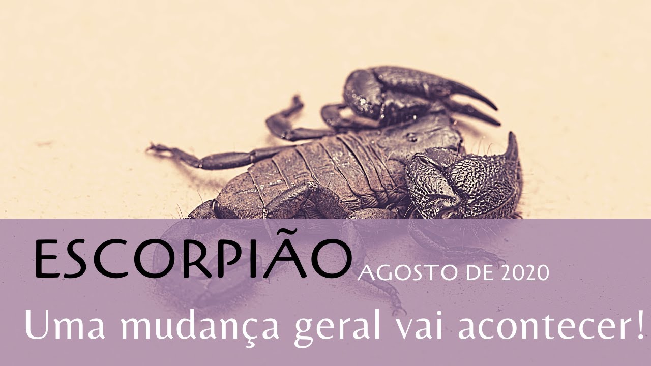 Escorpião - Agosto de 2020 - Uma grande mudança...