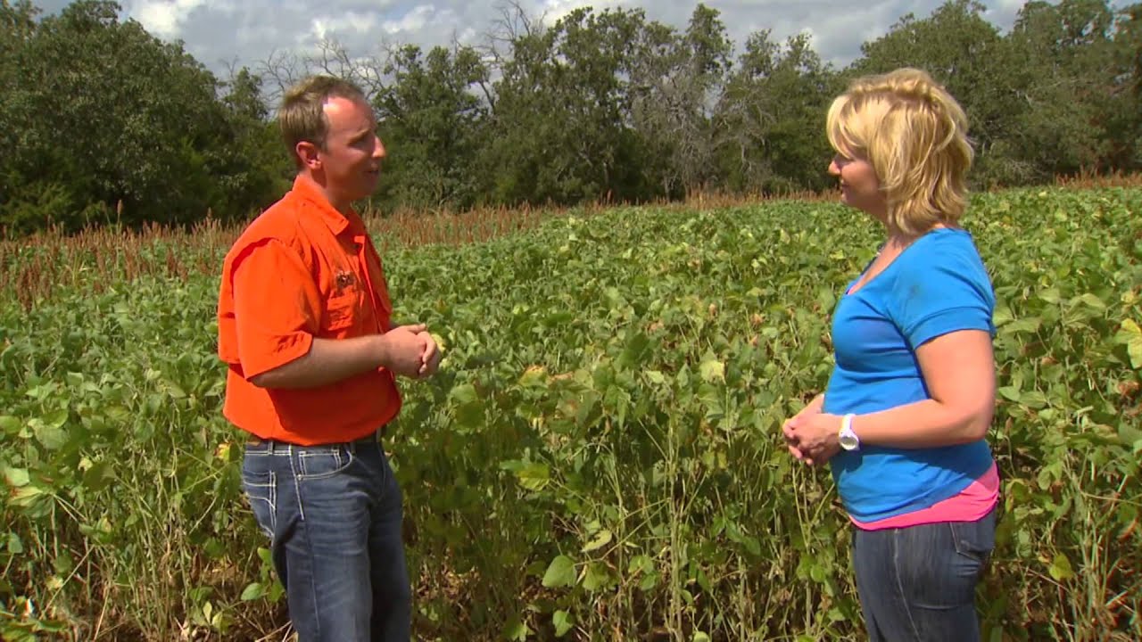 Wildlife Food Plots (10/26/13)