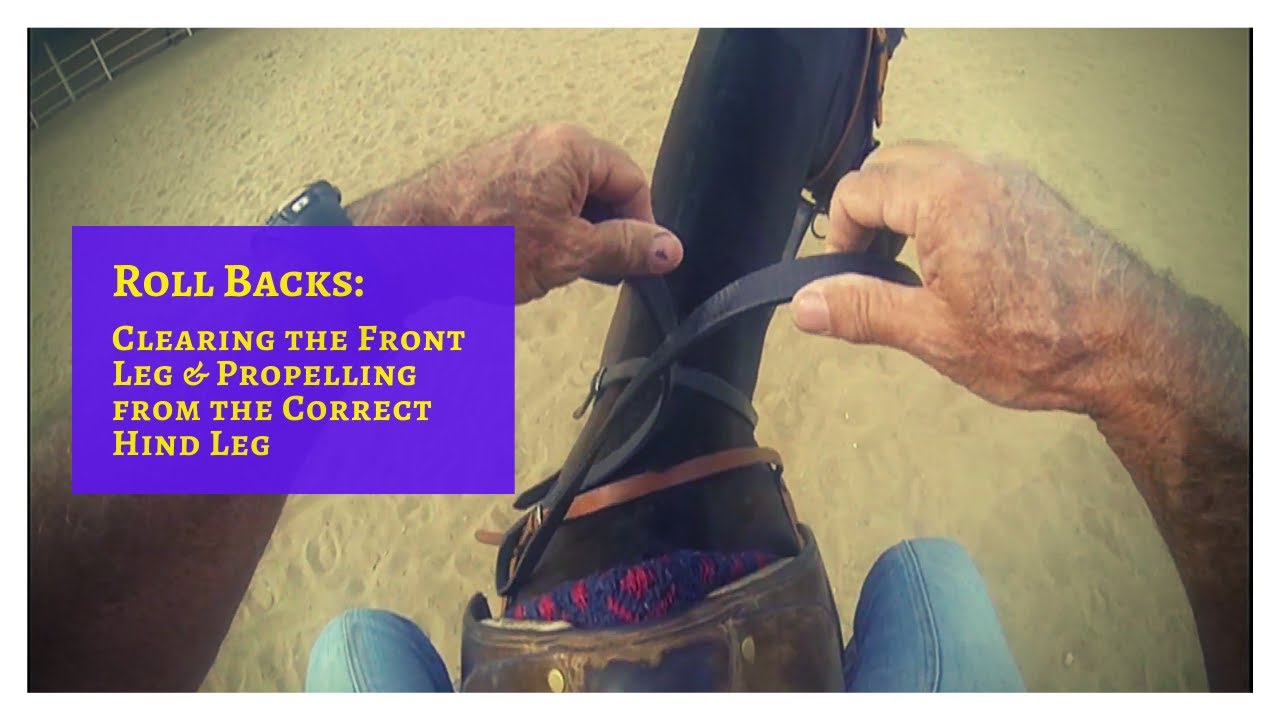 Polished Roll Backs: Clearing the Front Leg & Propelling from the Correct Hind Leg
