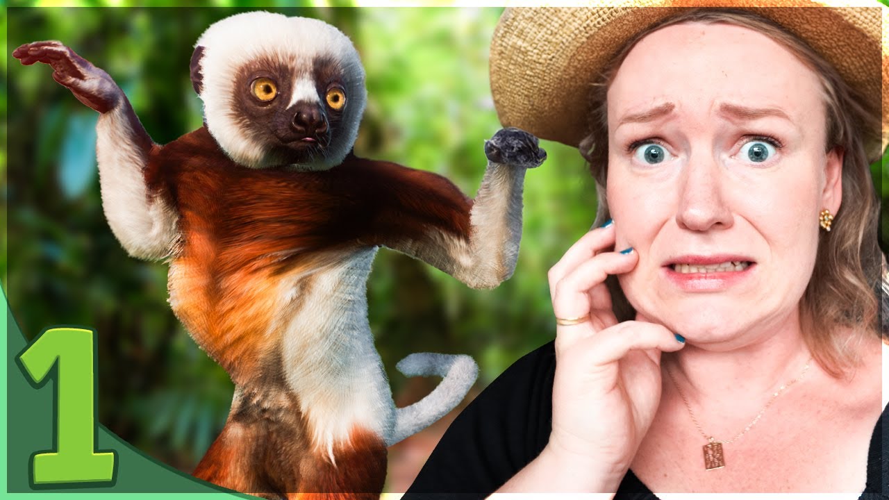Vi starter en ny zoo! (Planet Coaster 2 status) | Planet Zoo: Buttet Katzoo #1