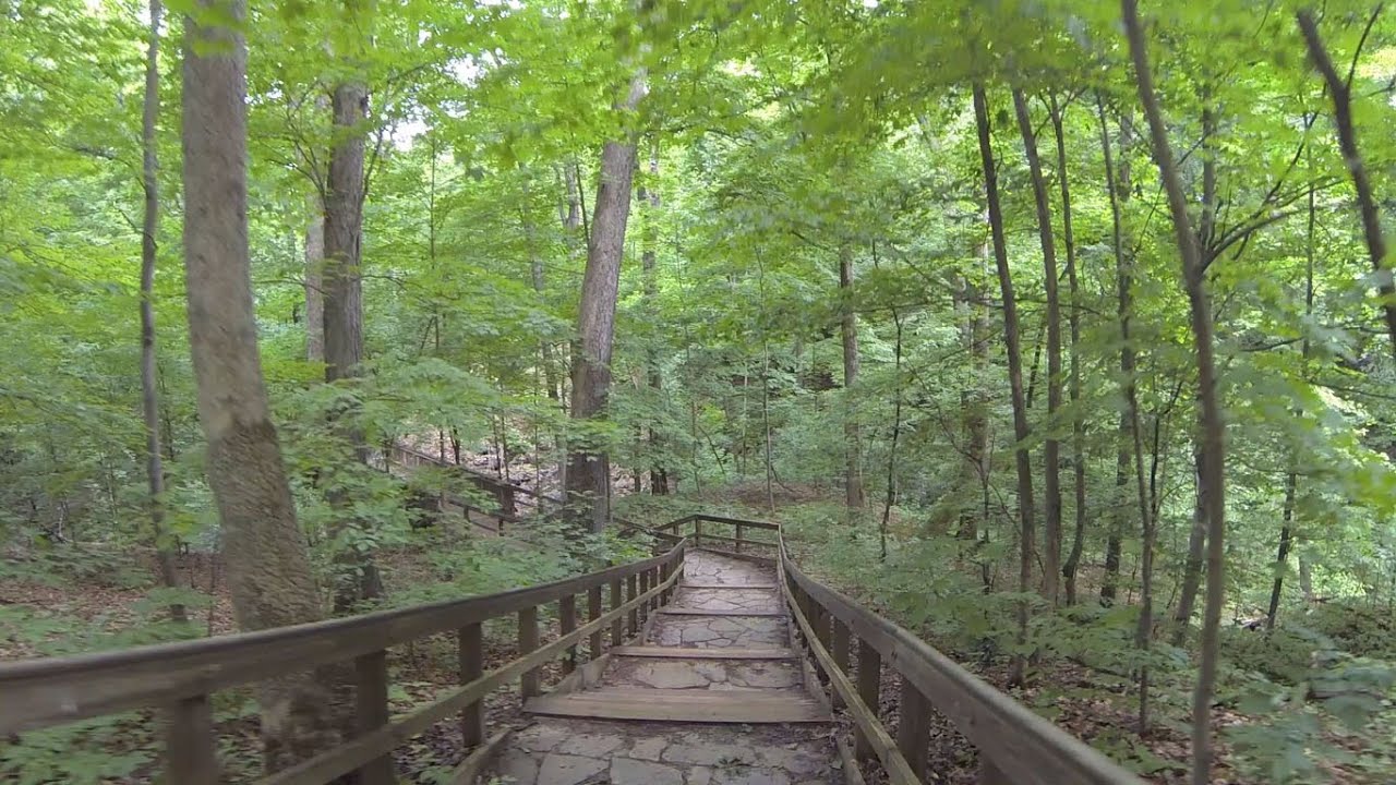 Highbanks Virtual Trail Run