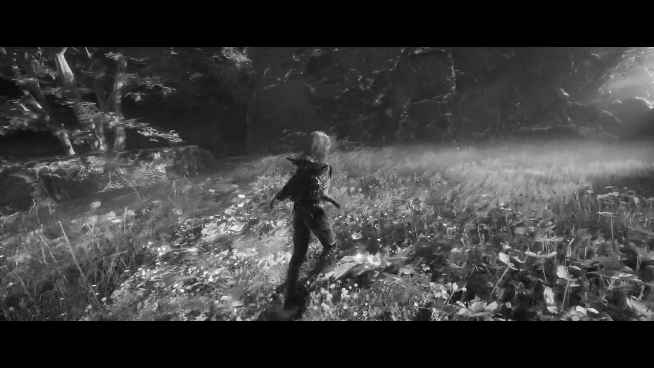 Live Expedicion Da Danni