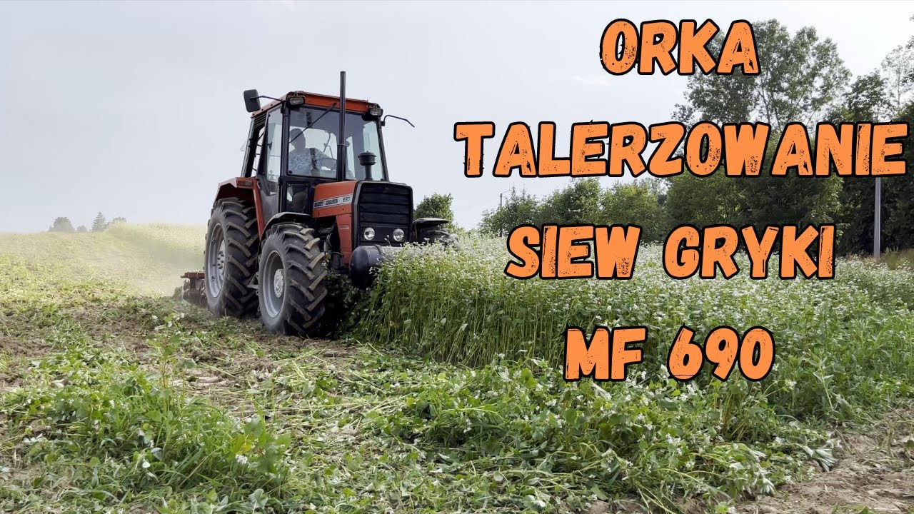 MF 690 Orka Talerzownie Siew Gryki