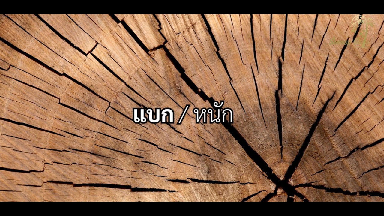 ร่มธรรม ร่มใจ : สาระ ไม่เป็นสาระ  ตอนที่ 2 แบก หนัก โดยพระอาจารย์ภิกษุณีนันทญาณี รุ้งเดือน สุวรรณ