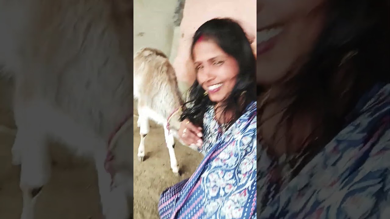 Desi life is the best life! 😍 
