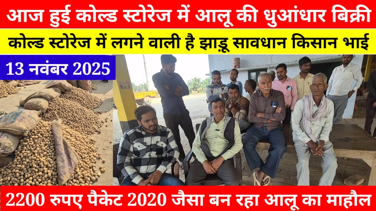 आज हुई कोल्ड स्टोरेज में आलू की धुआंधार बिक्री || Aaj Ka Aalu Ka Bhav || All India Potato Rate