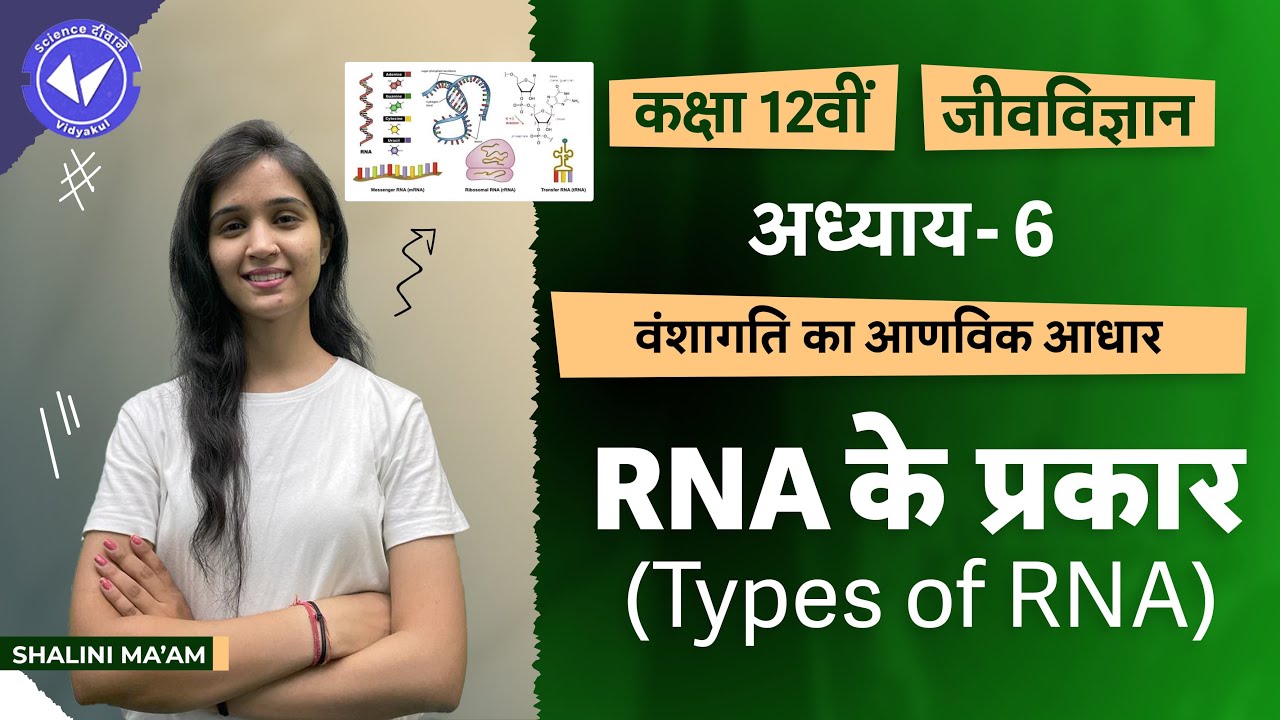 Types of RNA | Molecular Basis of Inheritance | Class 12 Biology Chapter 6 | Hindi Medium
