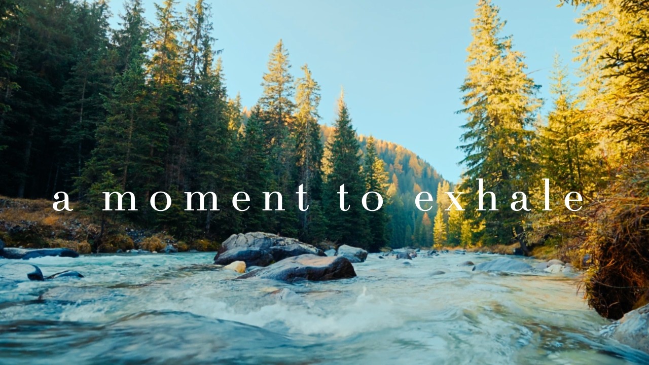 forest river • being there • 7 hours • 4k