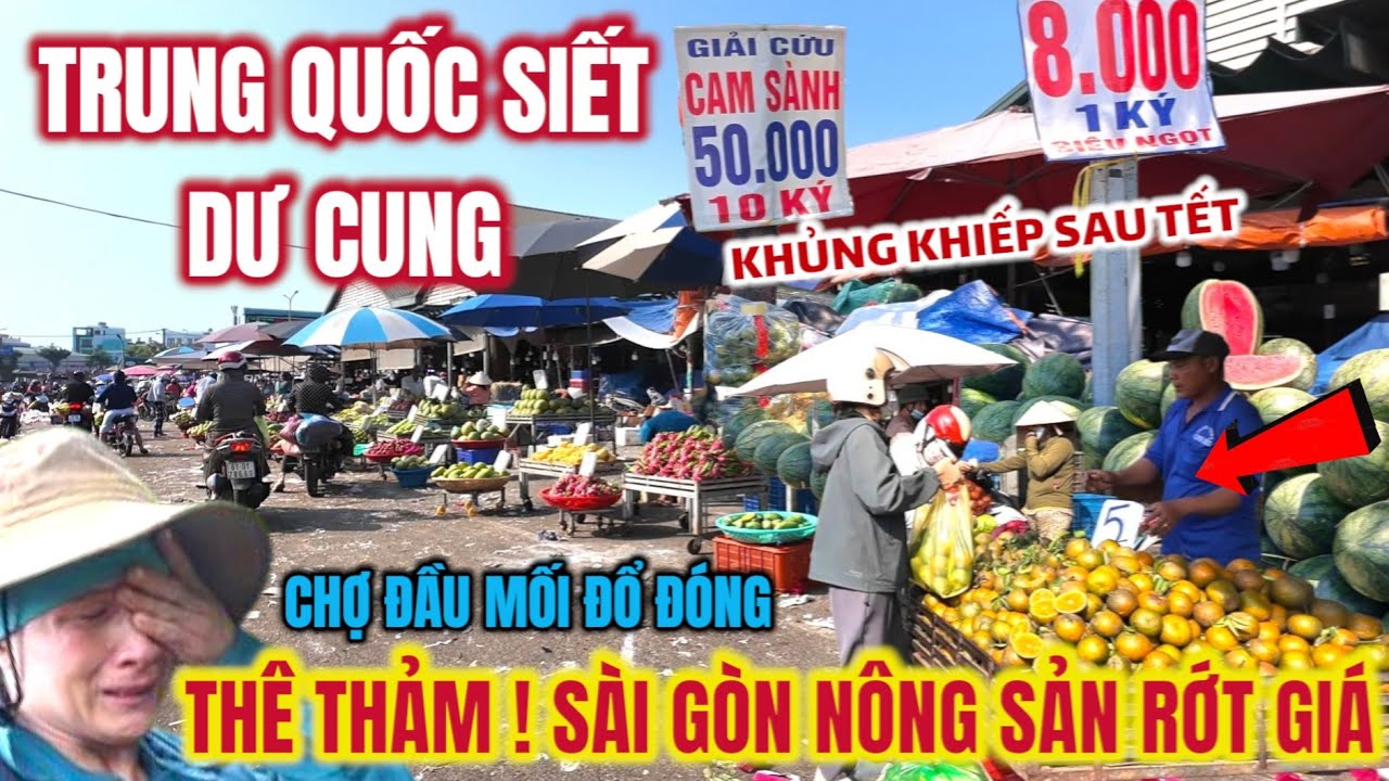 THÊ THẢM ! SÀI GÒN NÔNG SẢN RỚT GIÁ ĐỔ ĐÓNG CHƯA TỪNG THẤY, TRUNG QUỐC SIẾT DƯ CUNG QUÁ TRỜI SAU TẾT