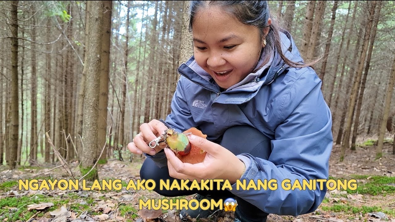 Kakaiba Ang Mga Mushroom Nila Dito😱+ Apple and Plum Picking / Filipina Simple Living in Germany.