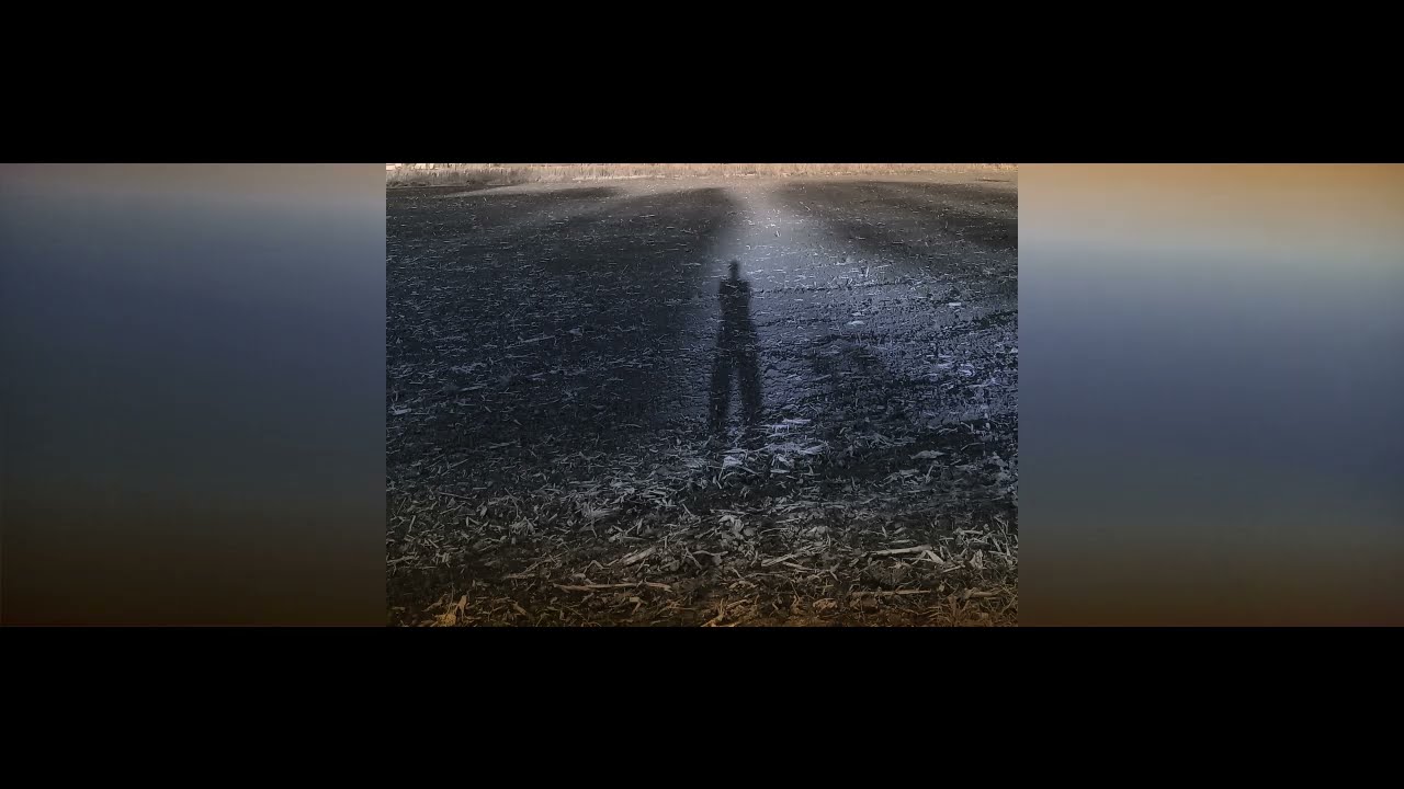 Sulatus - Slow Impulse