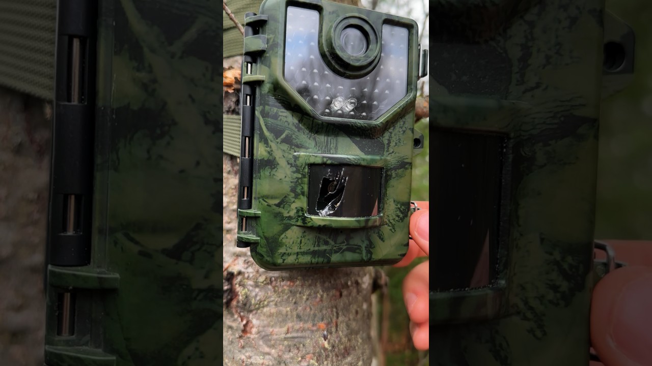 Поймать виновника, который сломал мою камеру 