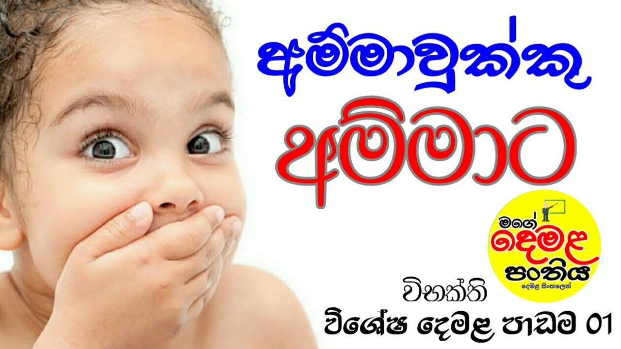 අම්මාවුක්කු- අම්මාට| දෙමළ ‌භාෂාවේ විභක්ති 01 පාඩම| Second Language Tamil Lesson for All| #Tamil