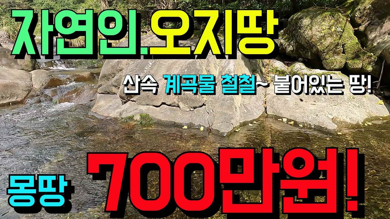 이 땅은~단돈700만원 ~자연인 오지땅 산속 계곡물철철~ 5성급자연인 땅~경북 경매매물-찾경공-