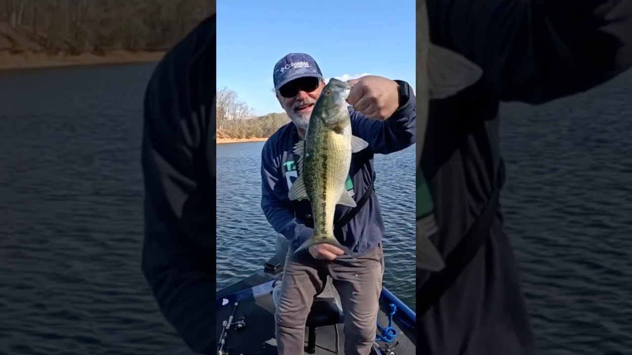 Простая приманка Fluke на джиг-головке гарантированно уловит рыбу 