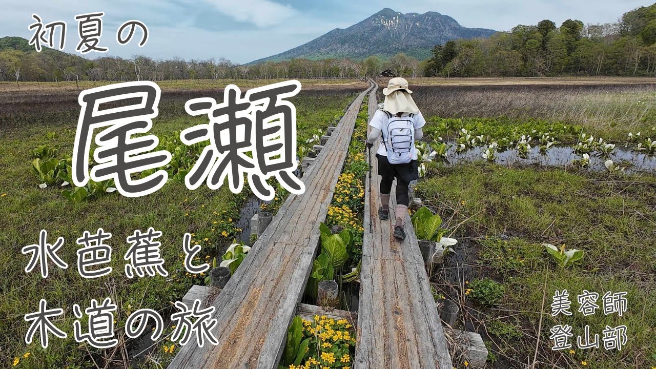 遥かな尾瀬 ~往路編~ 水芭蕉を見に行く初夏の旅【4K画質】
