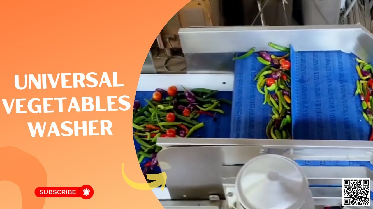 Universal Vegetables Washing & Drying Line by SS Engineers 🍅🥕🌿 #vegetablewasher