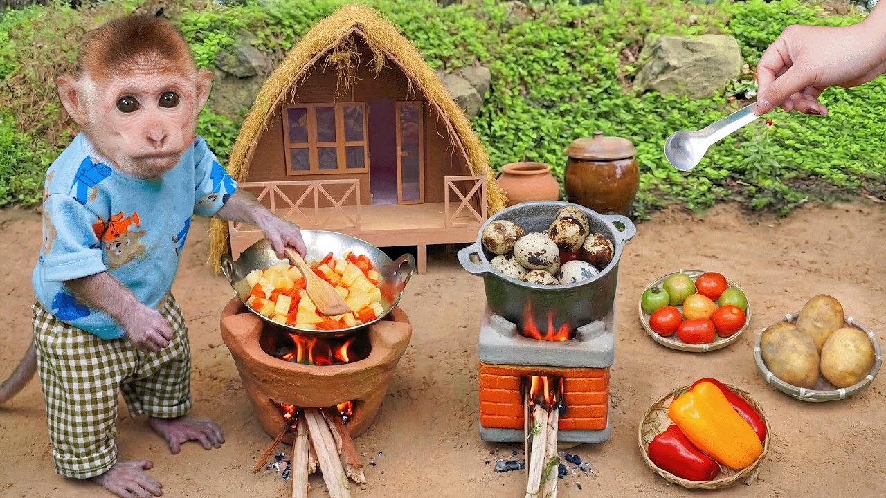 Smart monkey Xuka harvests potatoes and eggs to help his aunt cook breakfast