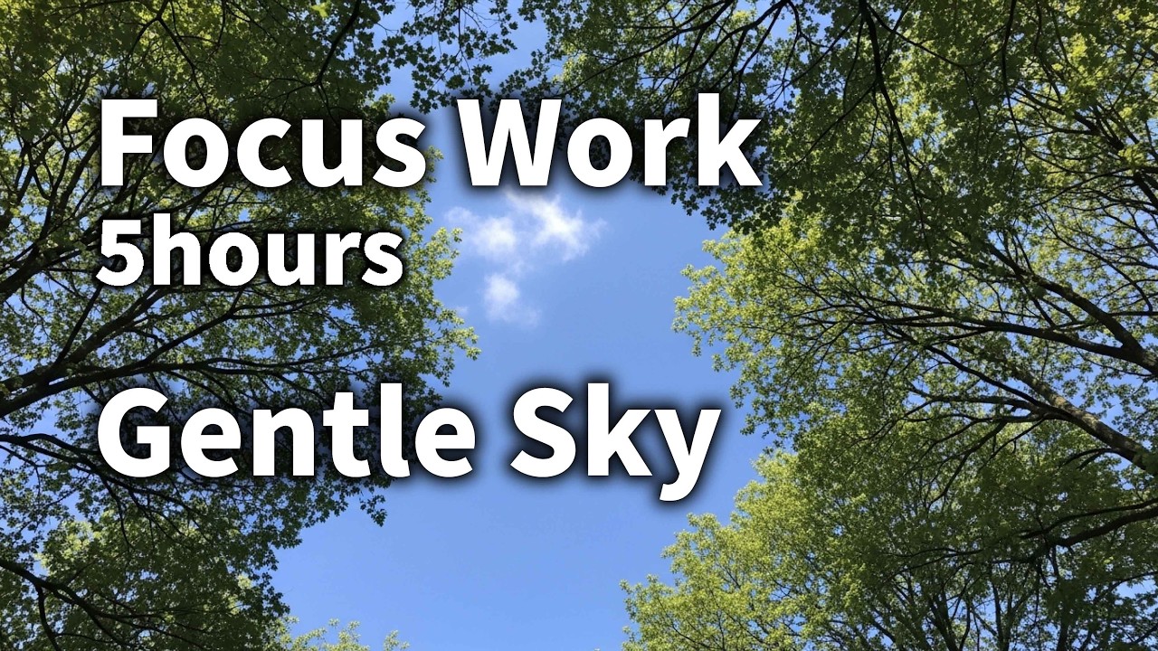 Office Visual BGM – 5 Hours of Focused Background Music for Work & Productivity