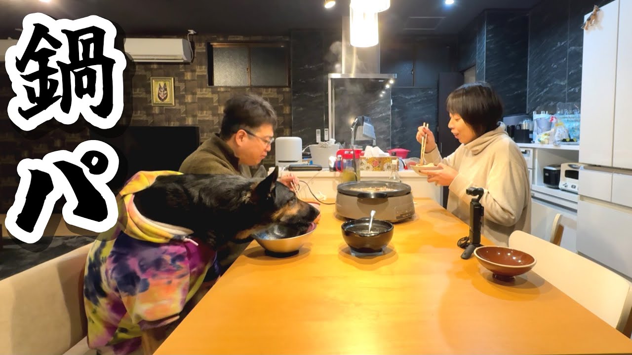 凍てつく夜に愛犬と鍋パしたら、シメの雑炊まで食べすぎましたｗ【ジャーマンシェパード】