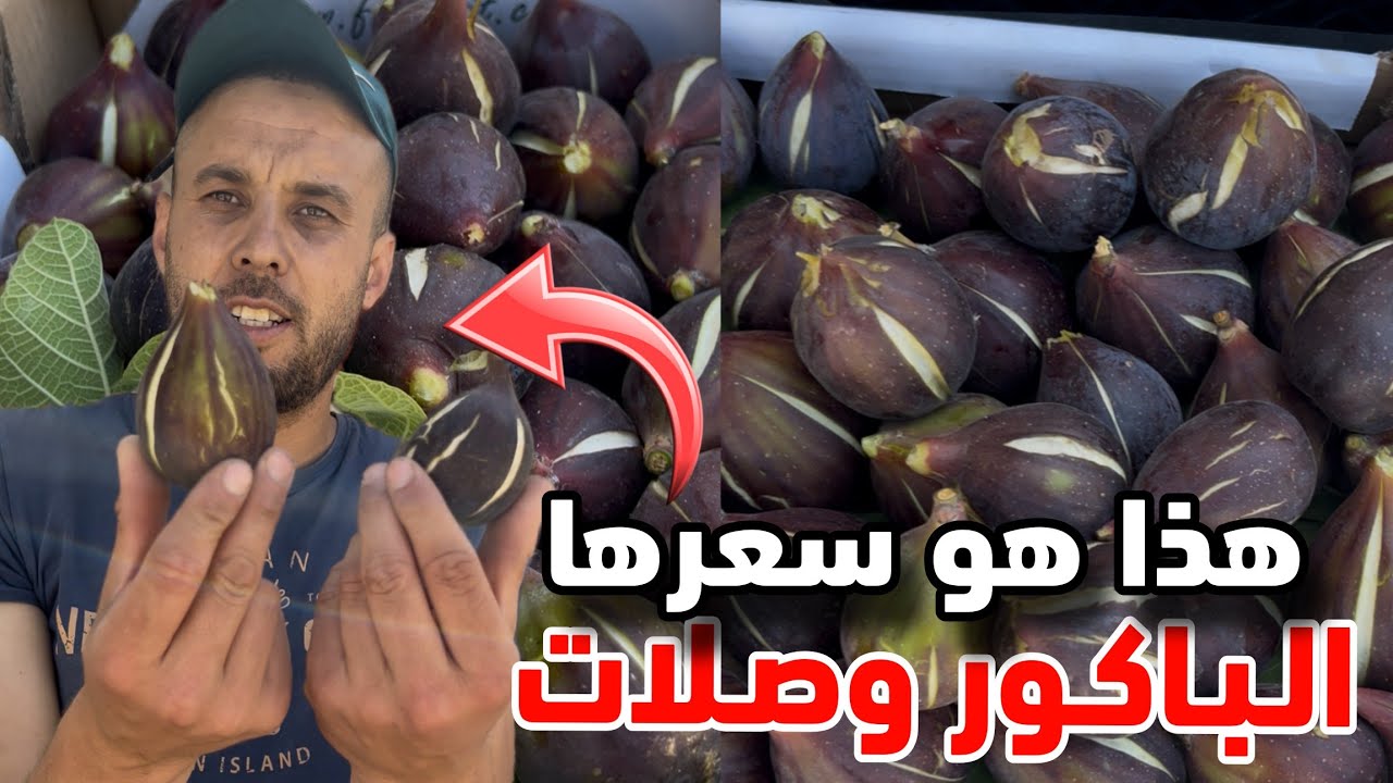 فاكهة الباكور تصل أسواق الناظور