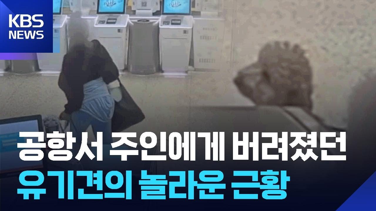 미 공항서 주인에게 버려졌던 그 유기견…출동 경찰과 새 인연 [잇슈 SNS] / KBS  2026.03.04.