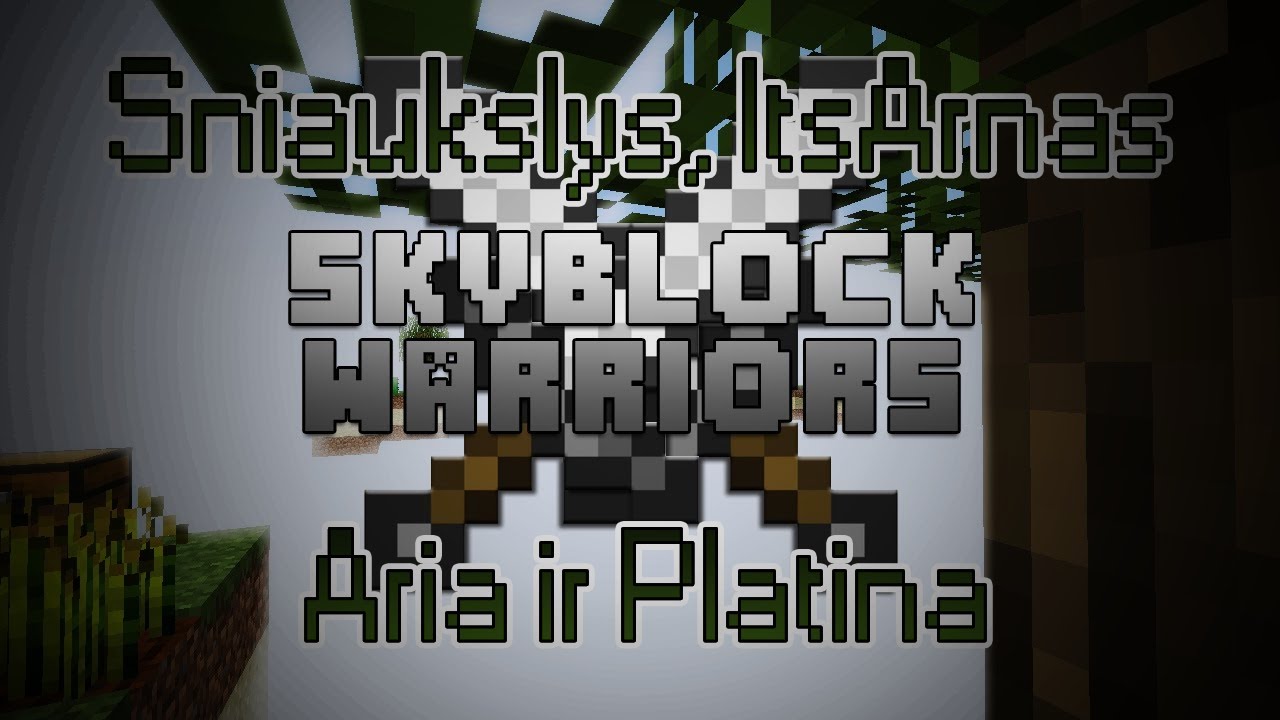 [Match 1] Minecraft: Skyblock Warriors w/Dzagh, Platina, ItsArnas