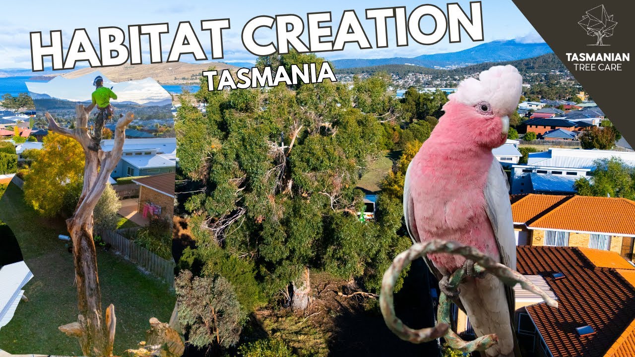 HABITAT CREATION IN OAKDOWNS - TASMANIA