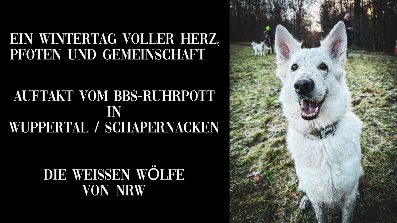 Wuppertal ! Die weissen Wölfe von NRW ! Schparnacken