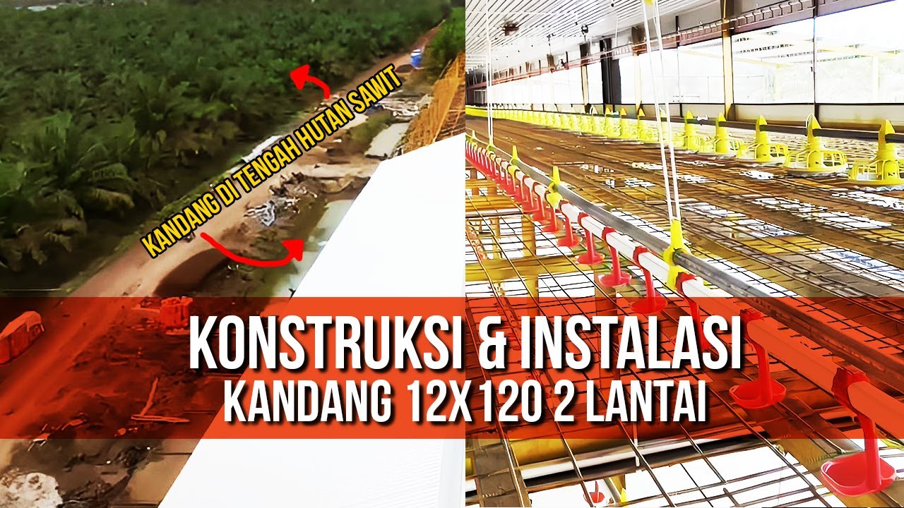 Konstruksi dan Instalasi Kandang Close House 12x120 2 lantai di Palembang Sumatera Barat