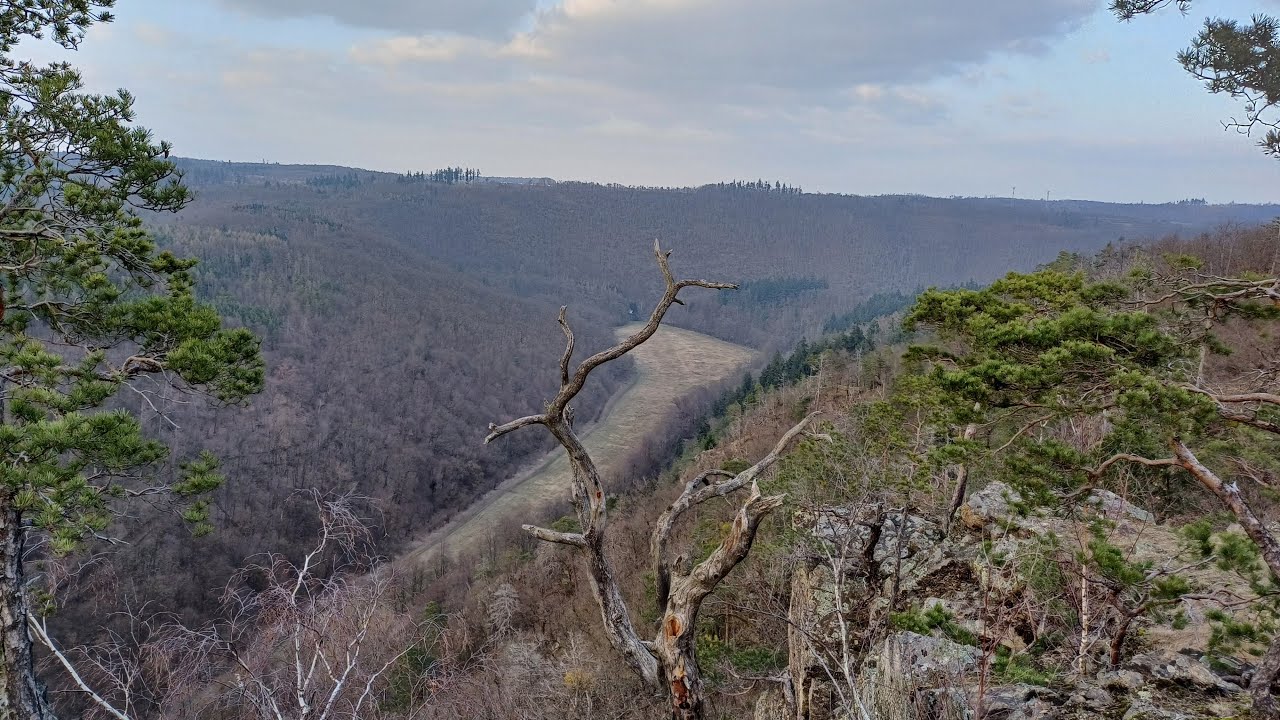 Údolí Oslavy a Chvojnice