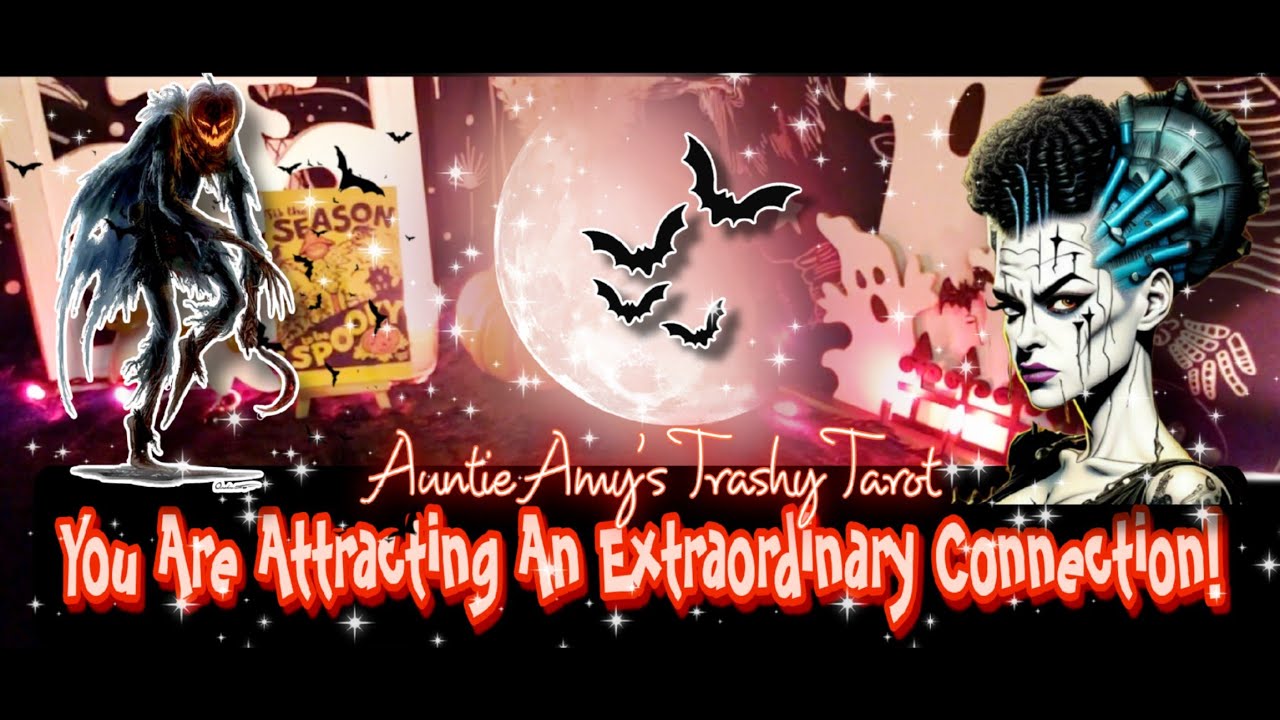 💫You Are Attracting An Extraordinary Connection💯Auntie Amy's Trashy Tarot🔮Collective Tarot Reading
